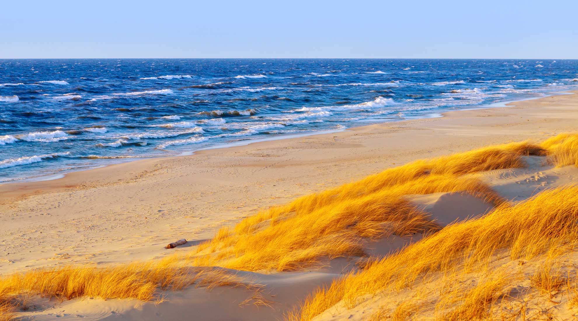 Fewo's auf der Insel Rügen